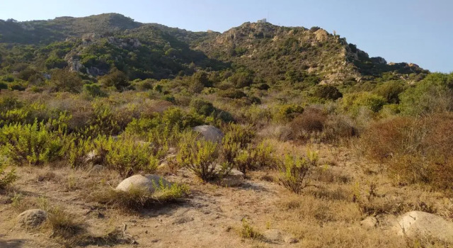 Коттедж Casa vacanze Wally a Posada, Sardegna