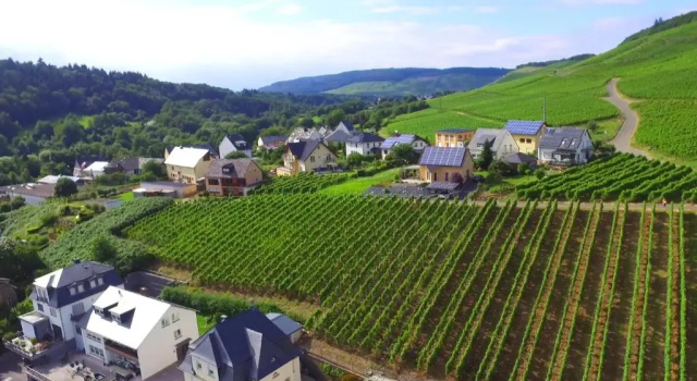 Номер Standard Wein- und Gästehaus Genetsch
