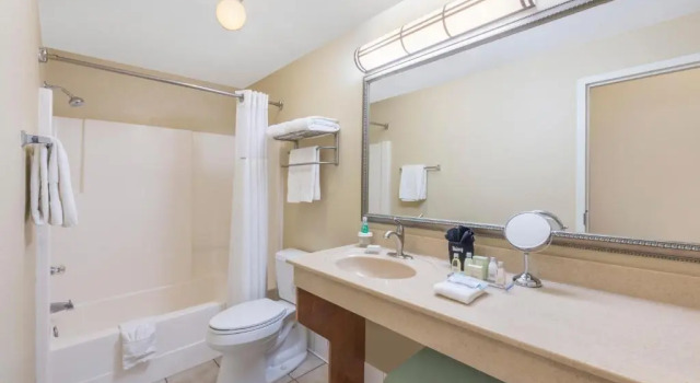 Двухместный люкс Deluxe Hawthorn Extended Stay by Wyndham Rome