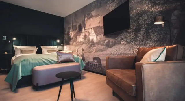 Одноместный номер Superior с балконом Hotel & Spa Suiten FreiWerk