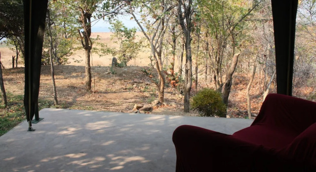 Zelt mit Seeblick Warthogs Safari Camp