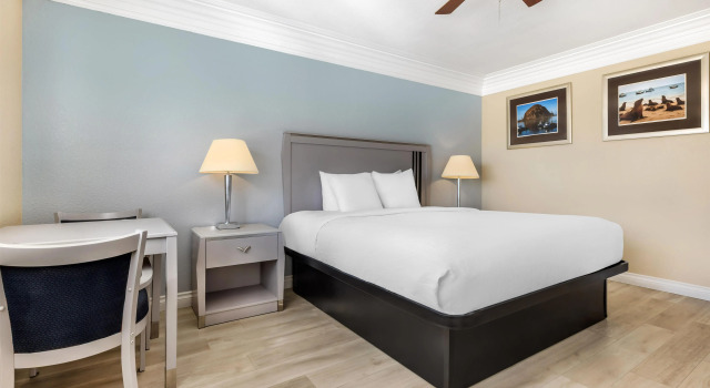 Двухместный номер Standard Best Western Tradewinds