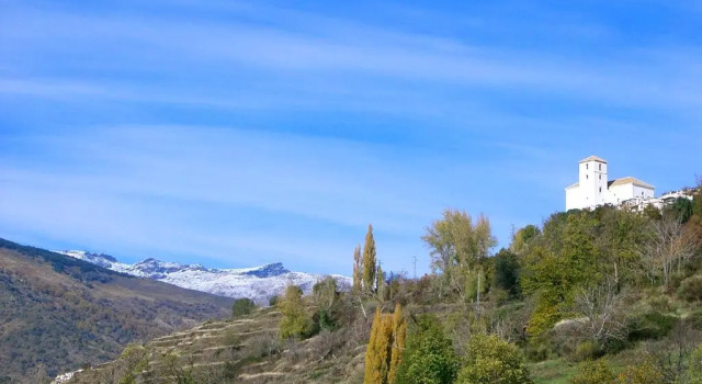Студия Casita Buena Vista