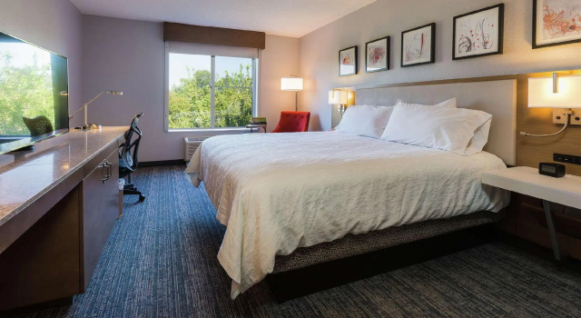 Двухместный номер Standard Hilton Garden Inn Atlanta Northpoint