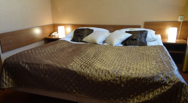 Одноместный номер Standard Grot Hotel
