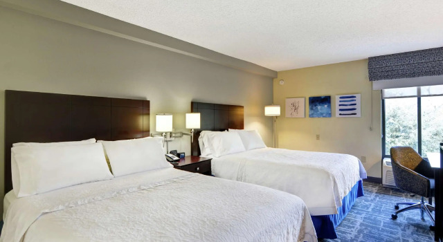 Четырёхместный номер Standard Hampton Inn Jacksonville Ponte Vedra