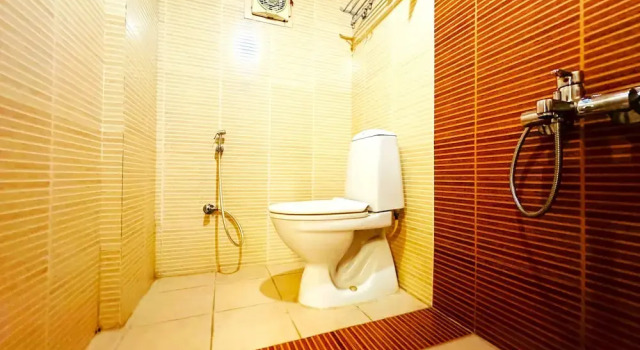 Номер Deluxe Aundh Elite Stay