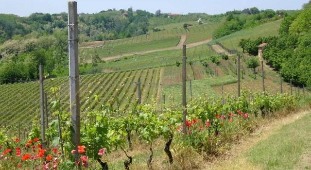 Коттедж Cascina Rollone
