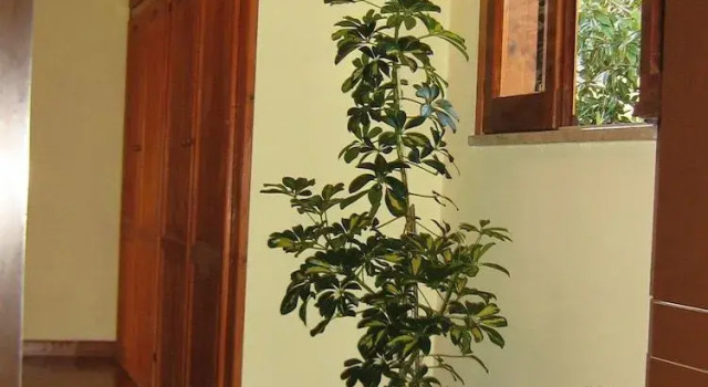 Da Miranda Bed & Breakfast, Rezervați Hotel Sant'Elia Fiumerapido 