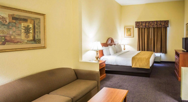 Двухместный люкс Comfort Inn & Suites Jupiter I-95