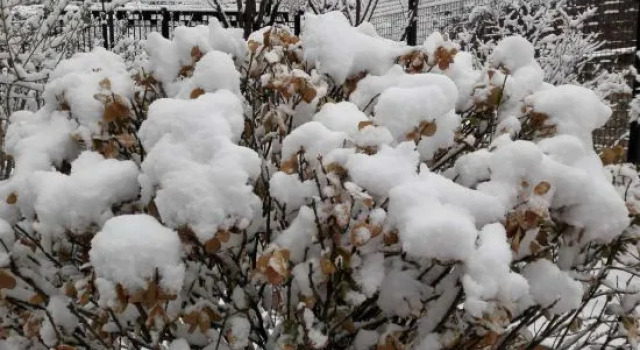 Beijing Mingtang Villa (Gubeikou Wtown Scenic Area), Book Villa Cottages in Beijing, Cottage