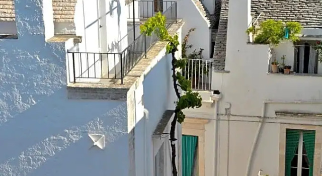 Da Concavo e Convesso, Varaa Hotelli Locorotondo Bari Province