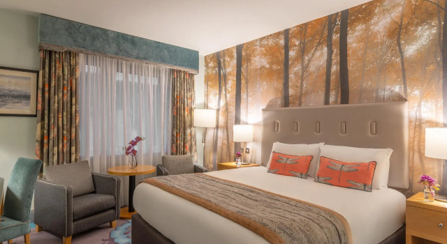 Номер Standard Crowne Plaza Dublin Airport by IHG