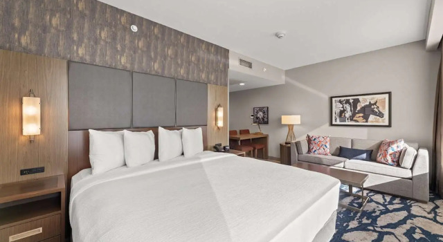 Двухместный люкс c 1 комнатой Embassy Suites By Hilton Irving Las Colinas