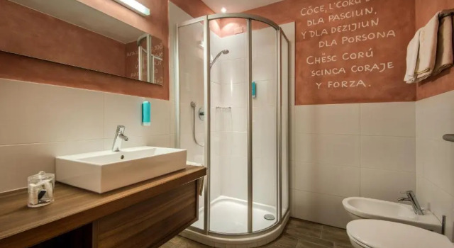 Люкс Hotel Gran Ciasa