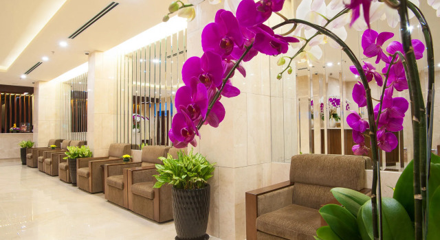 Nhat Ha Maison Hotel formerly Nhat Ha 1 Hotel, Забронировать Отель Отели Хошимина с завтраком, рядом с Музей города Хошимин, Завтраки