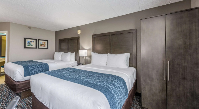 Четырёхместный номер Standard Comfort Inn Chicago Schaumburg - OHare Airport
