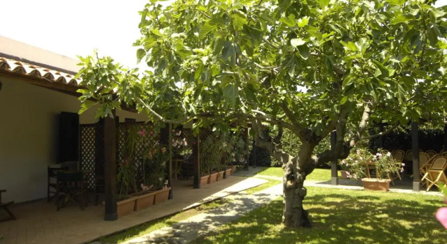 Двухместный номер Standard Villa Sangineto Resort