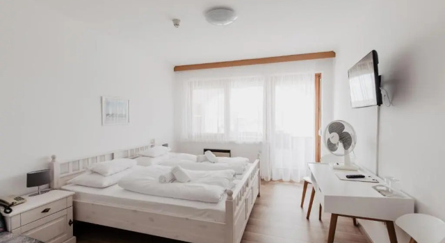 Двухместный номер Standard Hotel Mörbischerhof