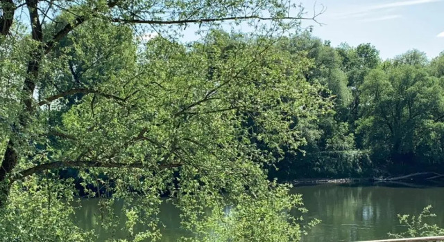 Апартаменты Apartment Donaublick