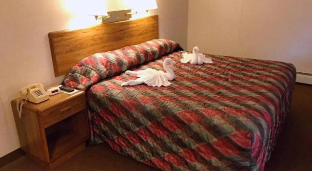 Номер Standard Belmont Motel