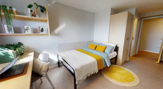 Номер Standard Opal Court