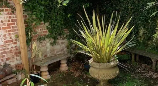 Central Taunton Garden Apartment, Varaa Huoneisto Asunnot kohteessa Merseyside, Huoneisto