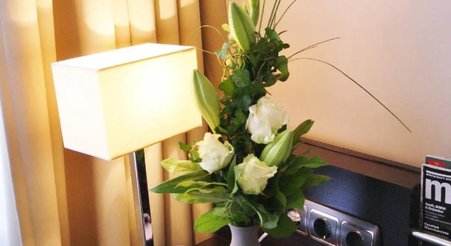 Одноместный номер Standard Hotel am Karlstor