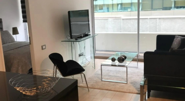Clínica Las Condes, lindo departamento 1 dormitorio para 3 personas, Rezervovat Hotel Santiago centrum Santiago
