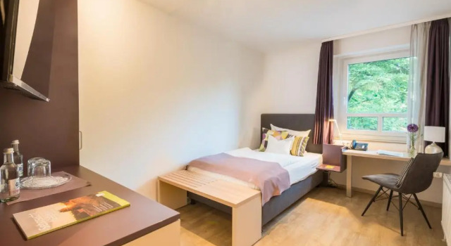 Одноместный номер Standard Hotel Blumlage