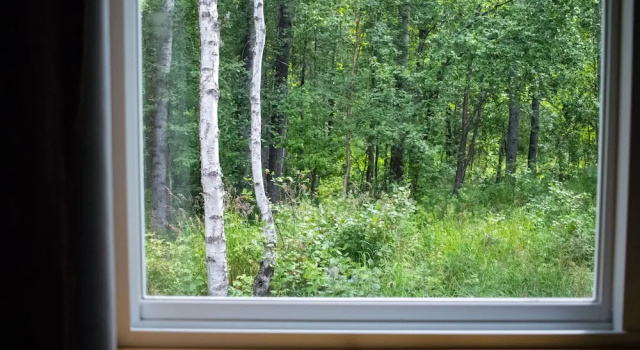 Standard- firedobbelt familie værelse Talkeetna Wilderness Lodge and Cabin Rentals