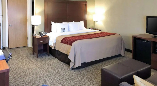 Люкс Comfort Inn Farmington Hills - Novi-Royal oaks-Southfield-Detroit Northwest