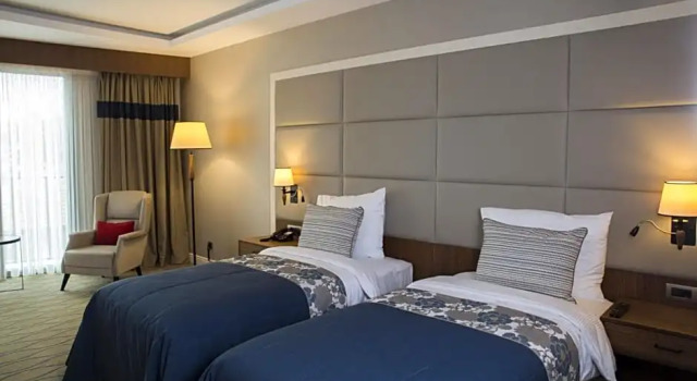 Номер Standard Ramada by Wyndham Sakarya Hendek