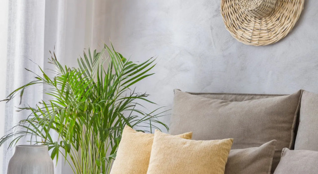 Полулюкс Diana Suites