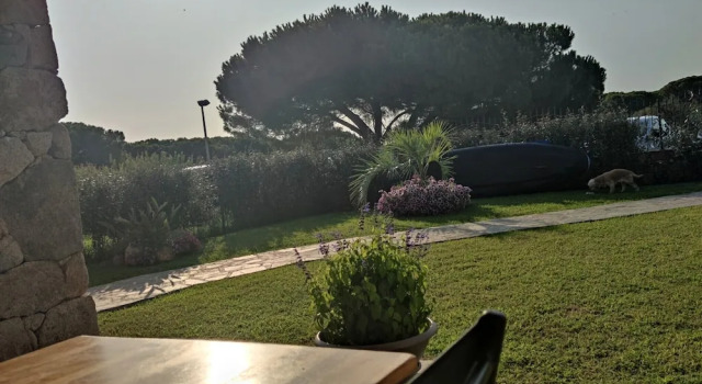 Коттедж с 2 комнатами Holiday Home in Sardinia