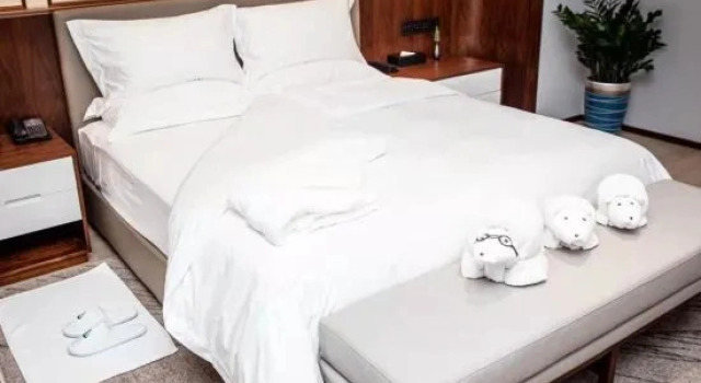 Люкс Business David Diamond Hotel