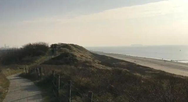 Wildhof, Book Hotel Vlissingen 