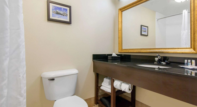Двухместный люкс Business Comfort Inn & Suites Norman near University