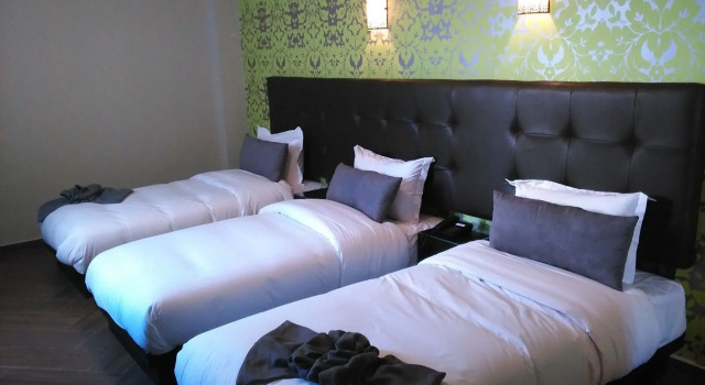 Hotel Swani