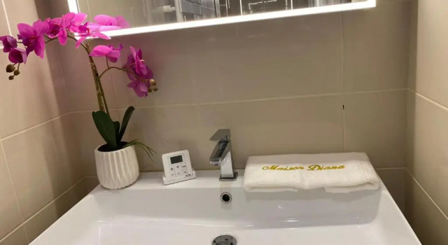 Апартаменты Maison Diana