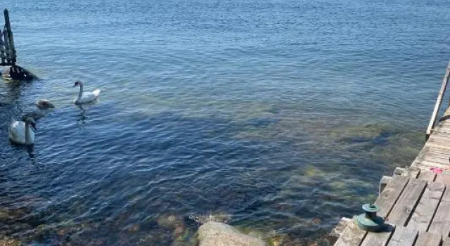 Charmig stuga av rustik stil i Stockholms område, Varaa Hotelli Tukholma Tukholma