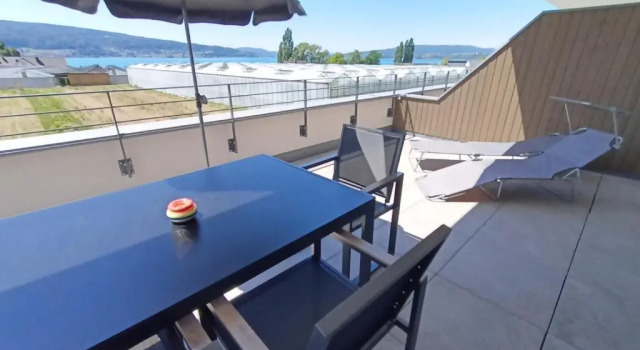 Апартаменты BodenSEE Apartments INSEL REICHENAU