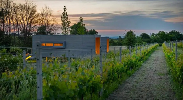 Двухместный номер Deluxe с балконом Eco Bio Agriturismo La Bella Vite - Camere Con Vigna