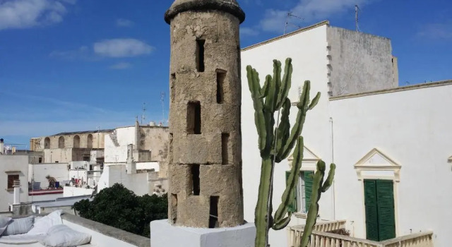 Corte Moline