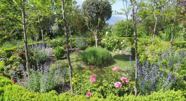 Коттедж Cortijo Opazo