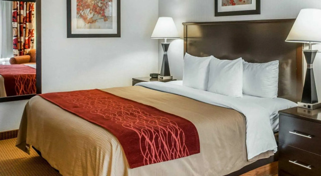 Номер Standard Quality Inn & Suites Farmington