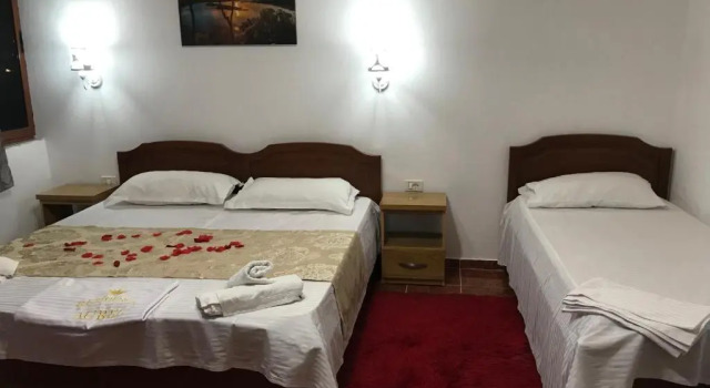 Номер Economy Villa Aurel