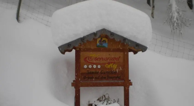 Oberversant Hof