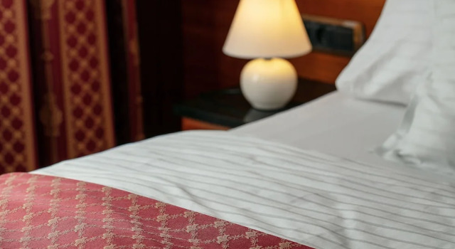 Одноместный номер Comfort Villa Smetana Spa & Wellness Resort