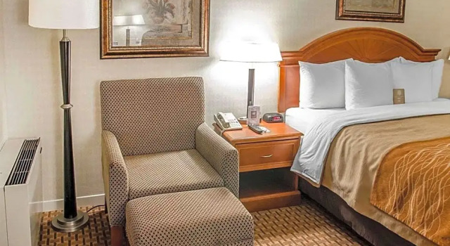 Двухместный номер Business Spark By Hilton Toronto Markham